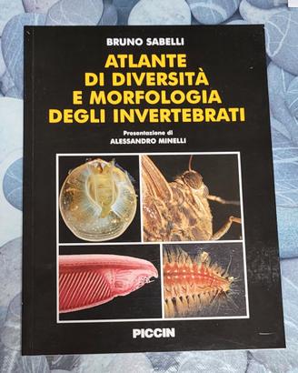 Atlante degli invertebrati