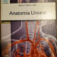 Anatomia Umana