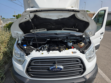 Ford transit custom con cella frigo pozitiva 0 gra