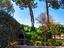Immagine 12