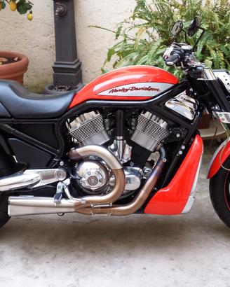 Harley VRSCR anno 2007