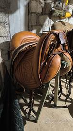 Bardella Maremmana Lamberto Tolfa