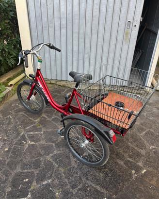 Bici tre ruote elettrica