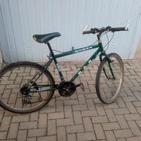 bici Mountain bike 