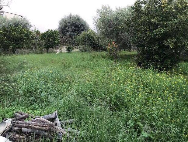 LOTTO DI TERRENO AGRICOLO ZONA LIMONETO