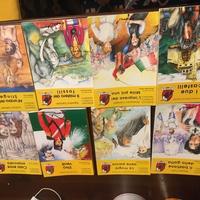 Romanzi storici tredieci