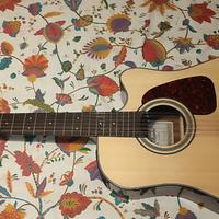 Chitarra Takamine 12 corde G series