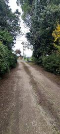 Rustico / Casale di 380 m² con più di 5 locali e b