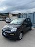 fiat-panda-1-0-firefly-s-s-hybrid-pandina