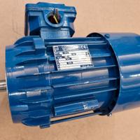 Motore asincrono 0.55 kW 2790 rpm 2 poli