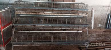 Gabbia allevamento conigli 