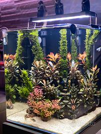 Acquario completo
