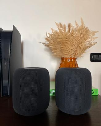 Coppia Homepod, come nuovi.