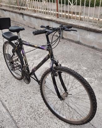 Bicicletta con seggiolino bimbo. 
