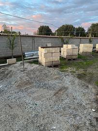 Blocchi in tufo pugliese