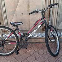 Bicicletta per ragazzina