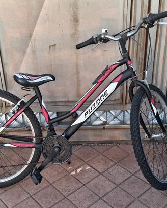 Bicicletta per ragazzina