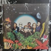 stereo mc's connected 