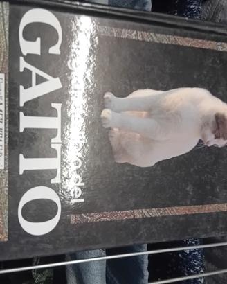 libro specifico sui gatti