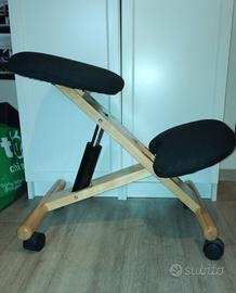 Sedia ergonomica