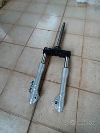 forcella beverly 300