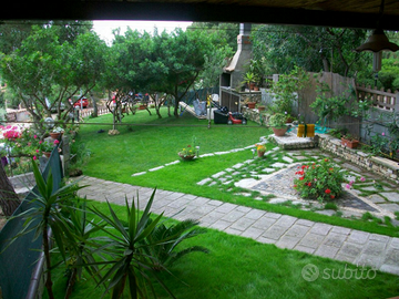 Vacanze al mare a Torre dei Corsari