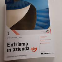 LIBRO ENTRIAMO IN AZIENDA SUPERIORI