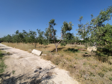 Vendita terreno agricolo