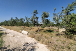 Vendita terreno agricolo