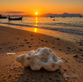 Affitti ad ore, giornalieri e settimanali