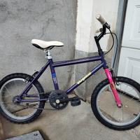 Bicicletta bambino 16 pollici con rotelle