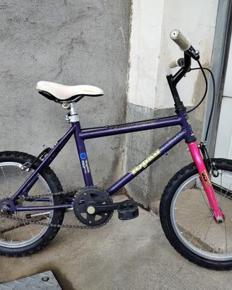Bicicletta bambino 16 pollici con rotelle