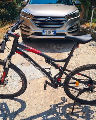 bici mountain bike 