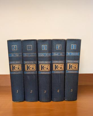 Enciclopedia Garzanti 5 volumi