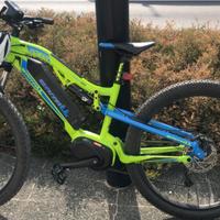 Coppia di bici elettriche