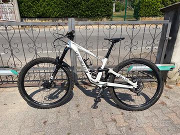 Specialized Enduro