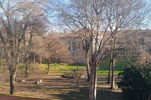 Camera matrimoniale per studenti Ferrara centro