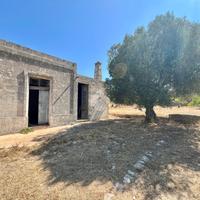 CASA DI CORTE A CEGLIE MESSAPICA