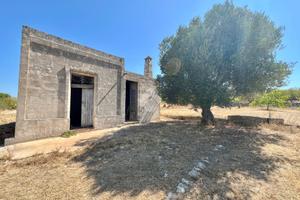 CASA DI CORTE A CEGLIE MESSAPICA