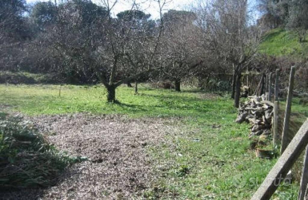 Immobile in asta di 5372 m² a Ciampino - Vista 4