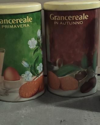 latte mulino bianco 