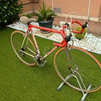 PALMERINA BOTTECCHIA