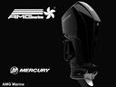 mercury-verado-250ds-hp-v8-4-6cc