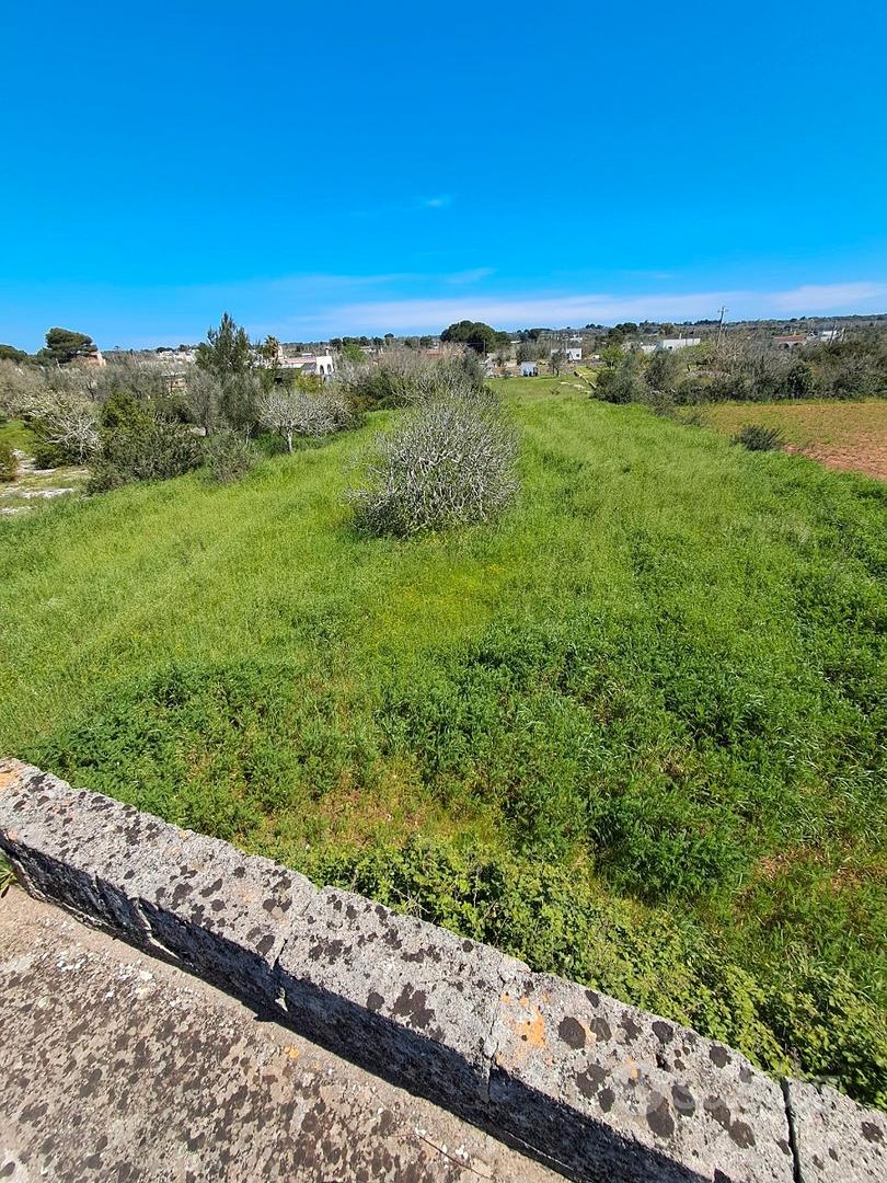 Terreno con pajara Tricase - Vista 6