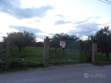 Terreno Residenziale Scalea [449VRG]