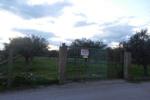 Terreno Residenziale Scalea [449VRG]