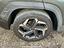 Immagine 17