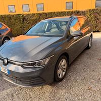 Volkswagen Golf Variant 2.0 tdi 116 cv Life Dsg