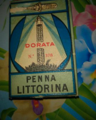 Scatola pennini penna littorina dorati