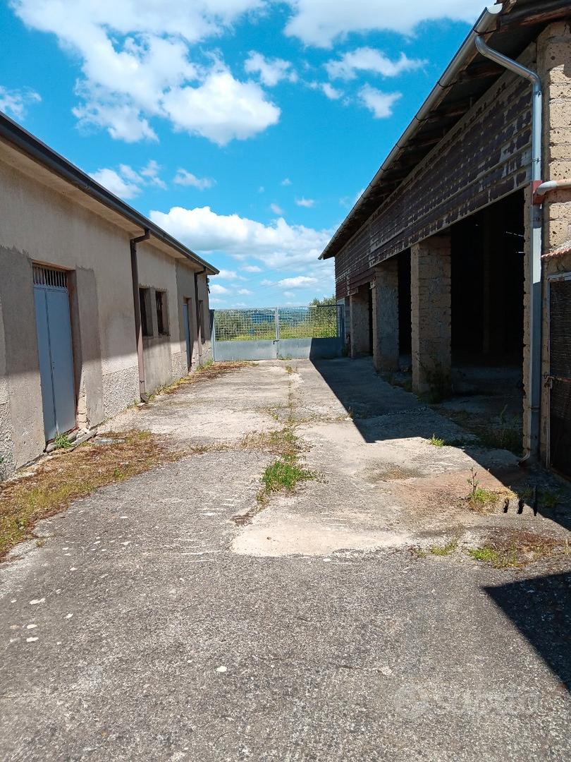 Casa – Paduli, Benevento - Vista 2